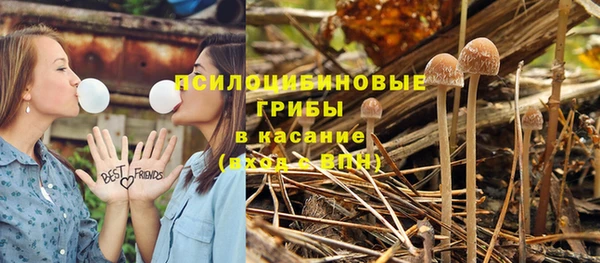 прущая мука Арсеньев