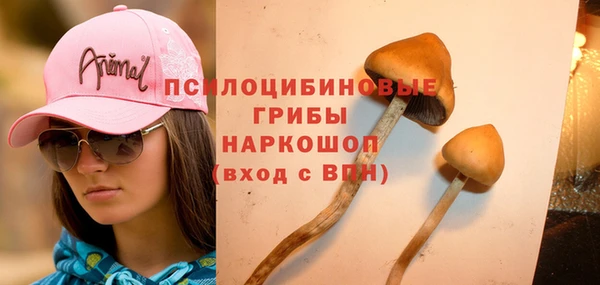 прущая мука Арсеньев