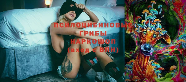 круглые Аркадак