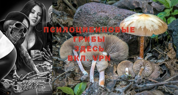 круглые Аркадак