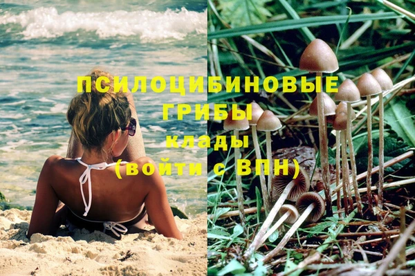 круглые Аркадак